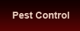 Pest Controll