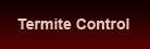 Termite